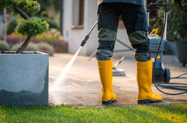 Best Affordable Pressure Washing  in Talluh, LA